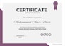 be your odoo expert for a seamless enterprise setup